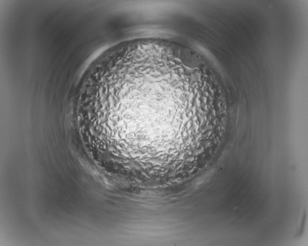 X0000082690875200702021325