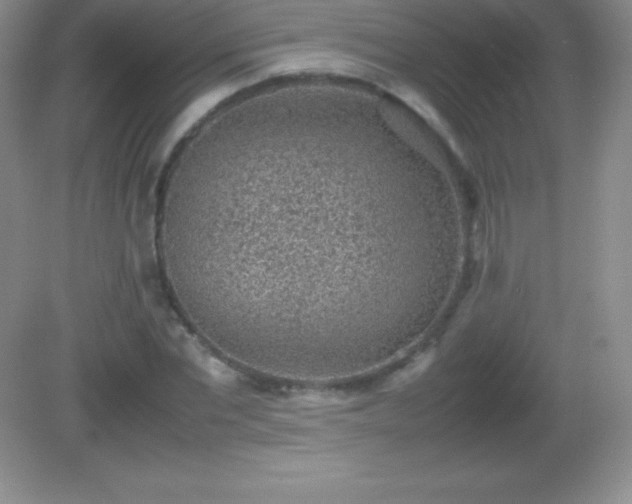 X0000082690877200702021324
