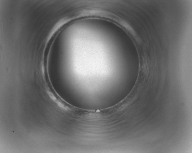 X0000082690888200702021324