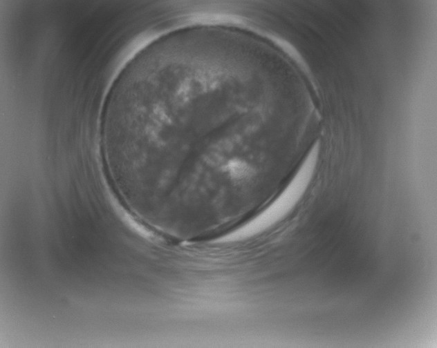 X0000082690895200702021324