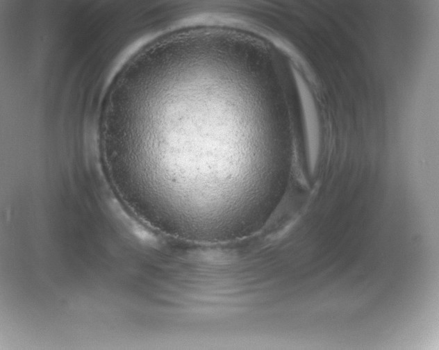 X0000082690896200702021324
