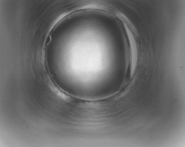 X0000082690900200702021324