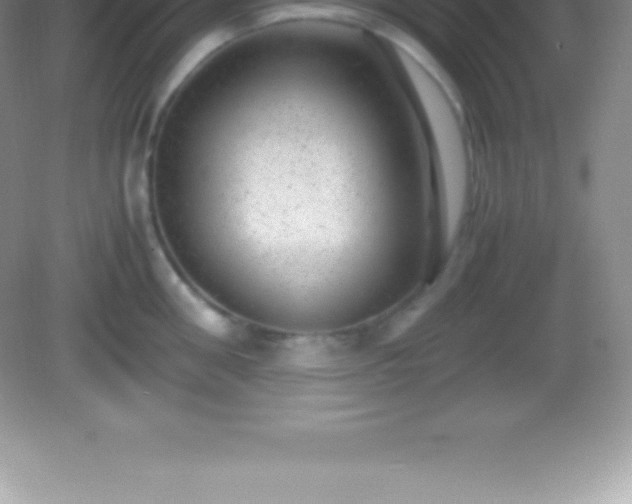 X0000082690906200702021324