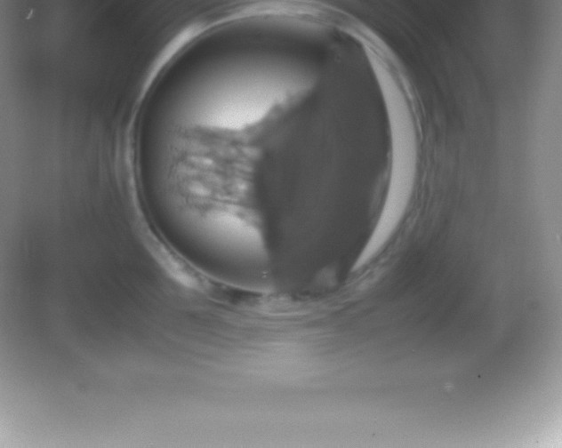 X0000082690907200702021324