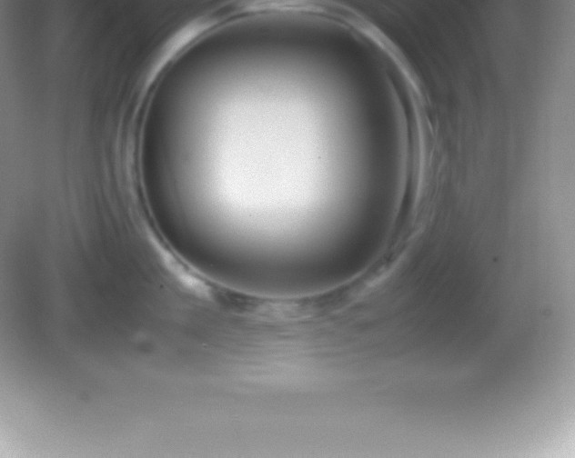X0000082690909200702021324