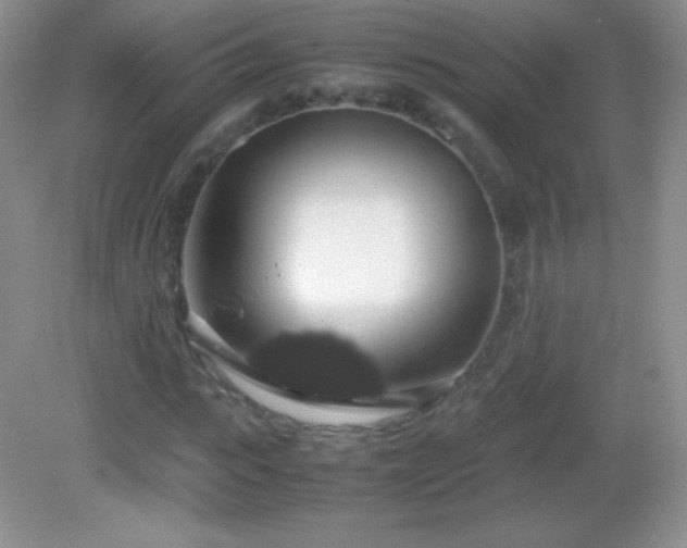 X0000082690919200702021323