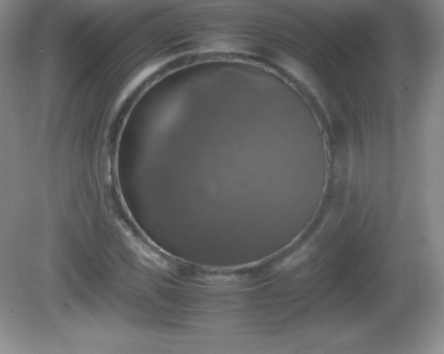 X0000082690925200702021323
