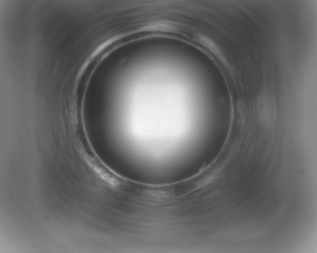 X0000082690931200702021323