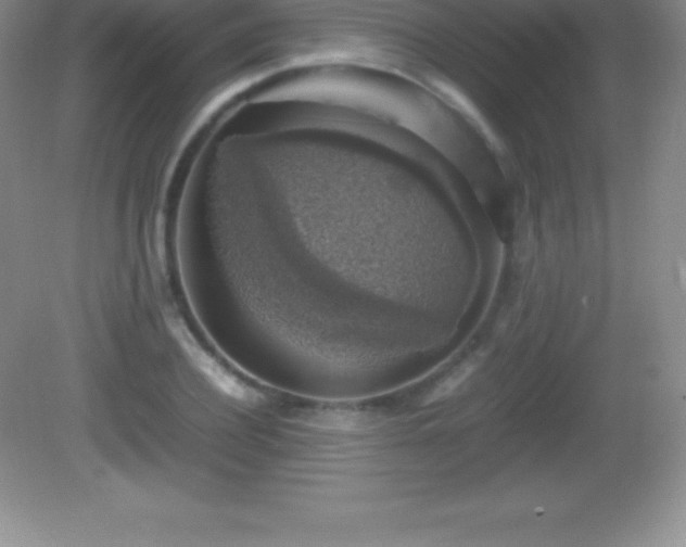 X0000082690932200702021323