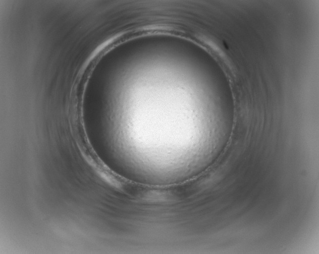 X0000082690933200702021323