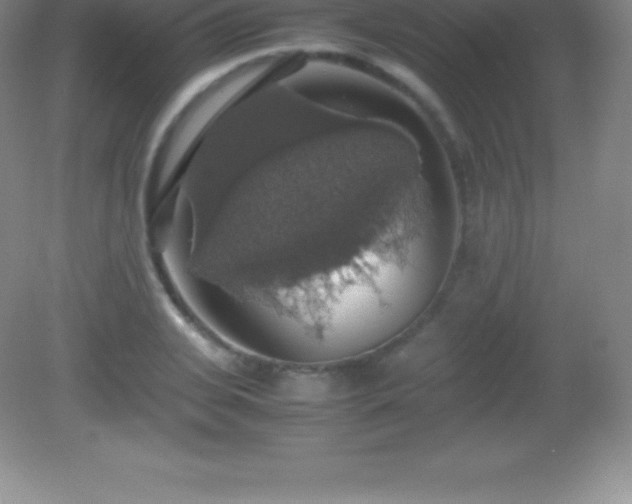 X0000082690935200702021323