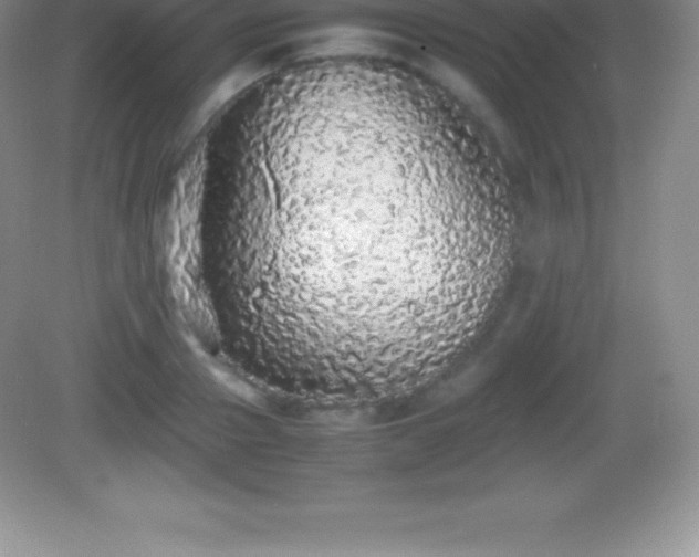 X0000082690937200702021324