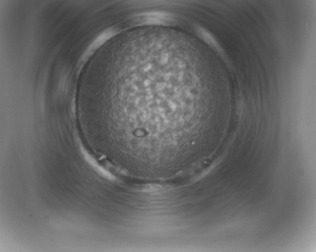 X0000082690938200702021324