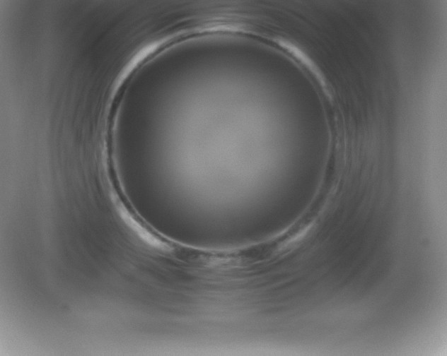 X0000082690941200702021324
