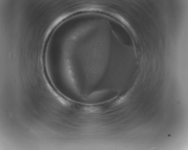 X0000082690943200702021324