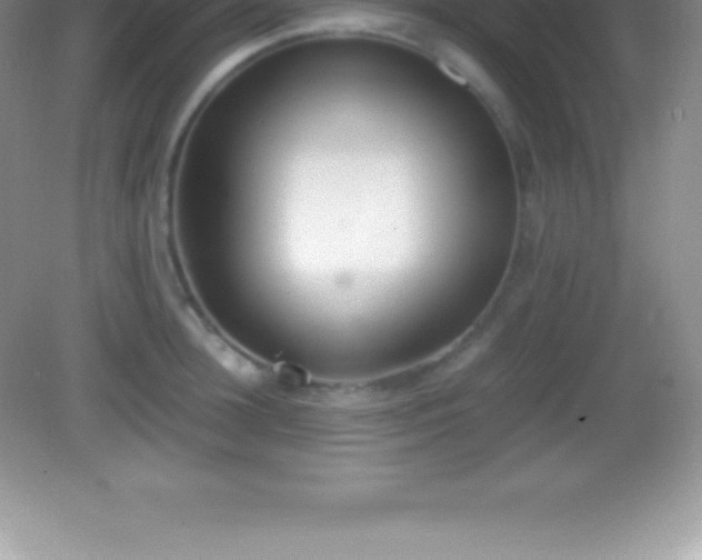 X0000082690948200702021324