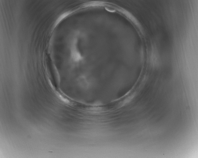 X0000082690953200702021324
