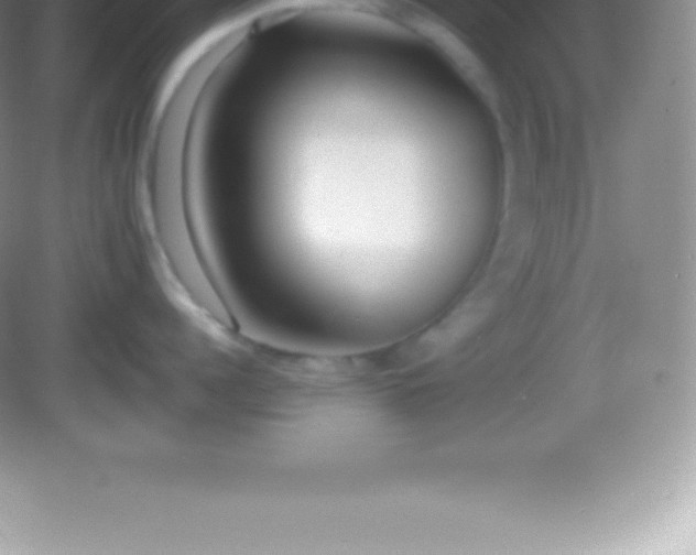 X0000082690960200702021324