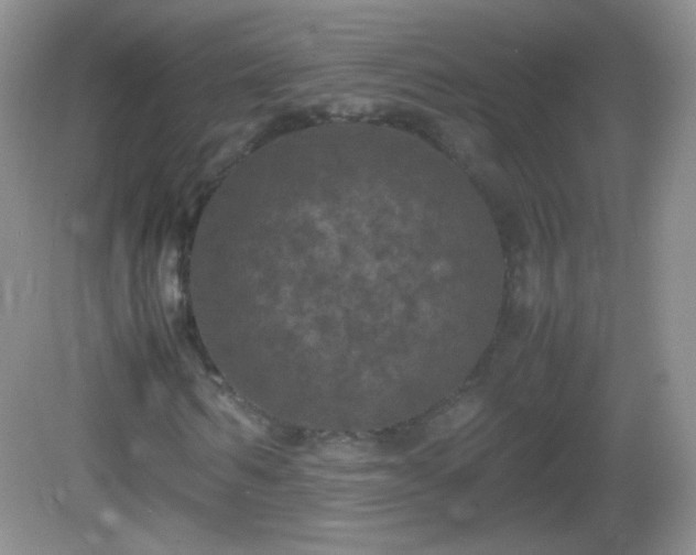 X0000082690962200702021323