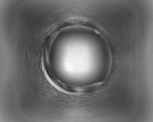 X0000082690965200702021323