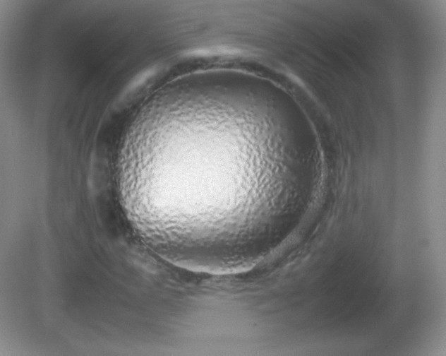 X0000082690967200702021323