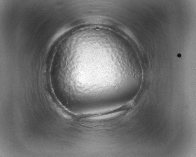 X0000082690971200702021323