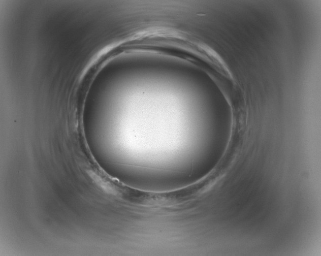 X0000082690973200702021323