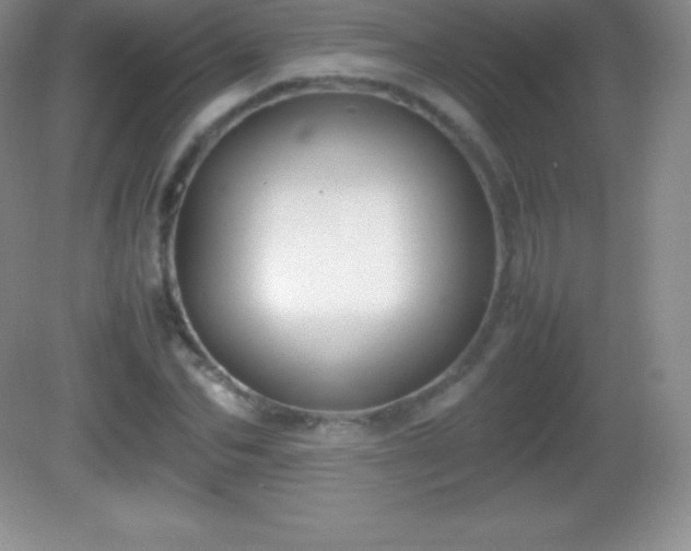 X0000082690974200702021323
