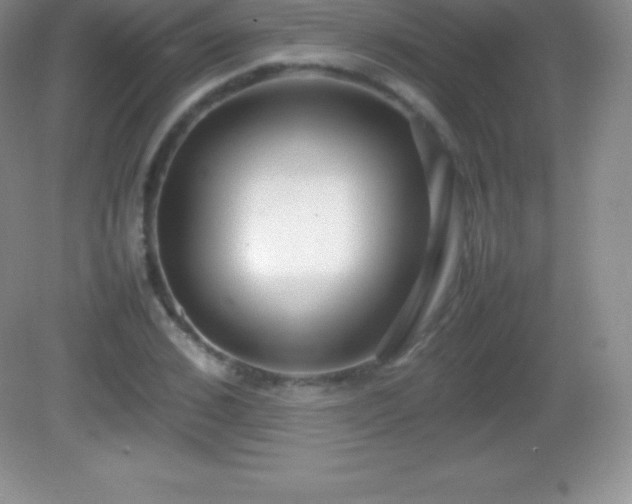 X0000082690976200702021323