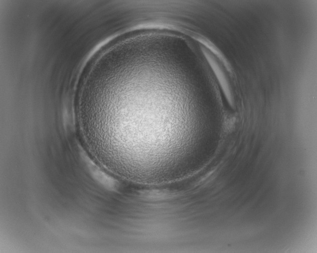 X0000082690980200702021323