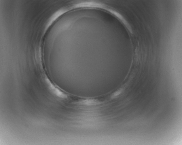 X0000082690998200702021322