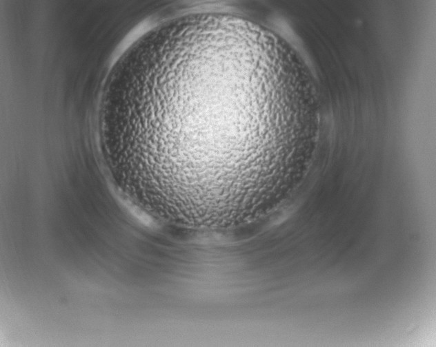 X0000082691002200702021322
