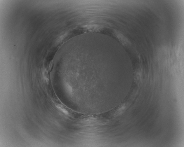 X0000082691010200702021321