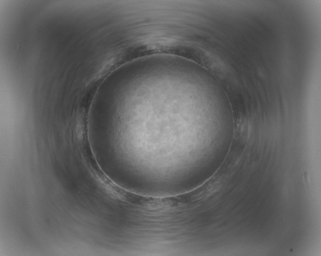 X0000082691012200702021322