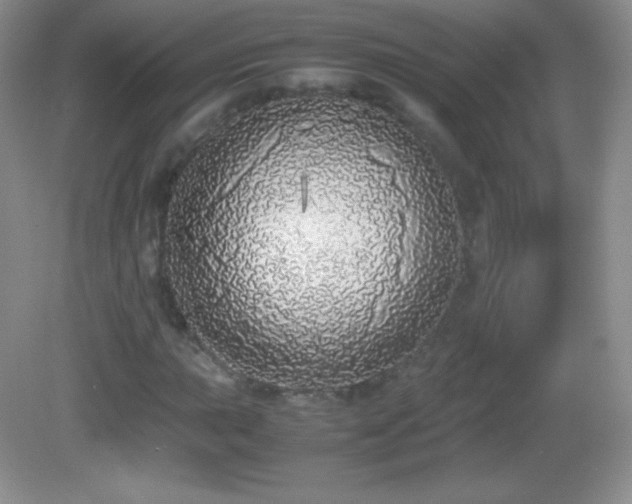 X0000082691015200702021322