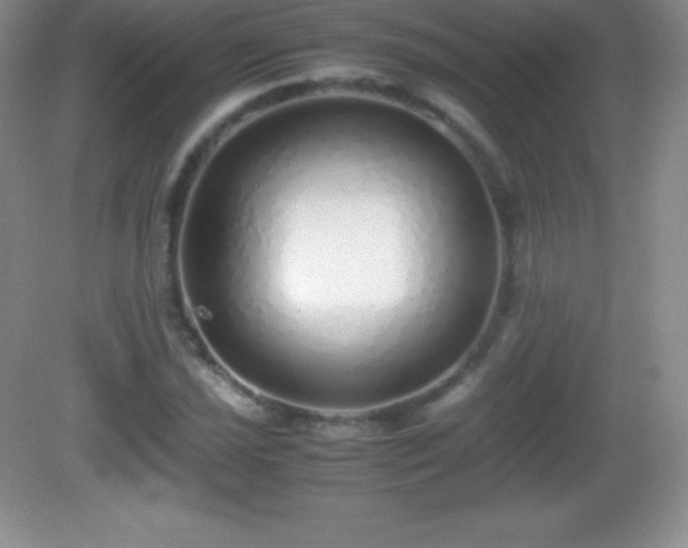 X0000082691021200702021322
