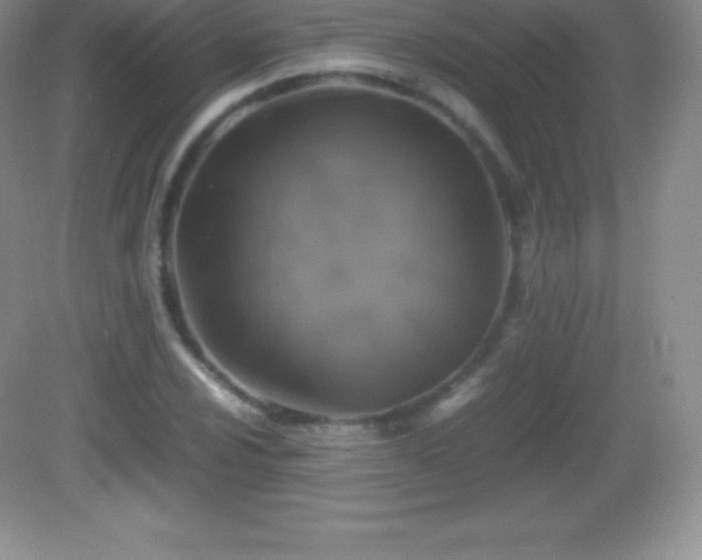 X0000082691024200702021322