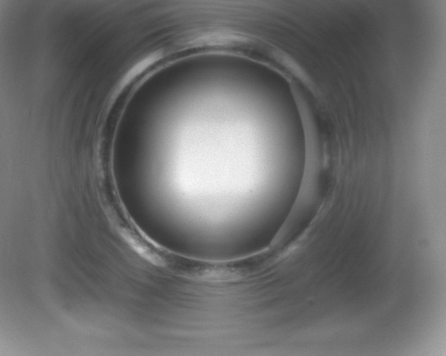 X0000082691026200702021322