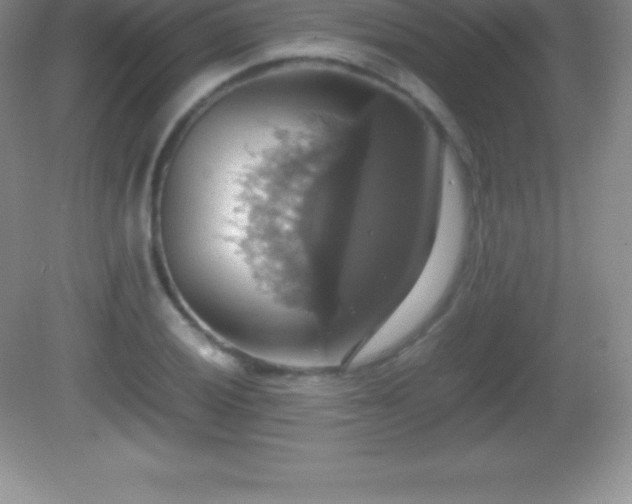 X0000082691028200702021322