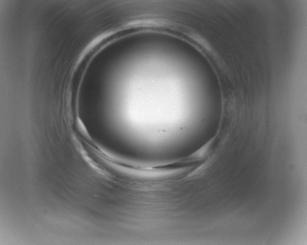 X0000082691030200702021322