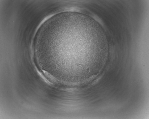 X0000082691032200702021322