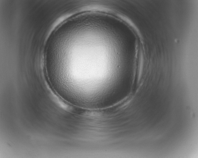 X0000082691040200702021322