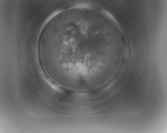 X0000082691043200702021322