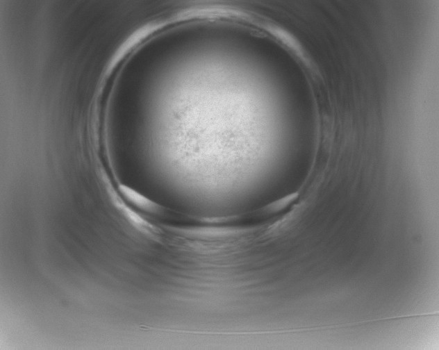X0000082691046200702021322