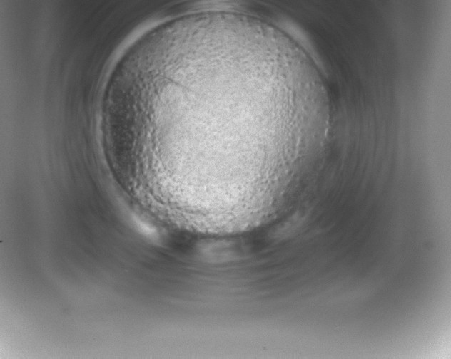 X0000082691051200702021322