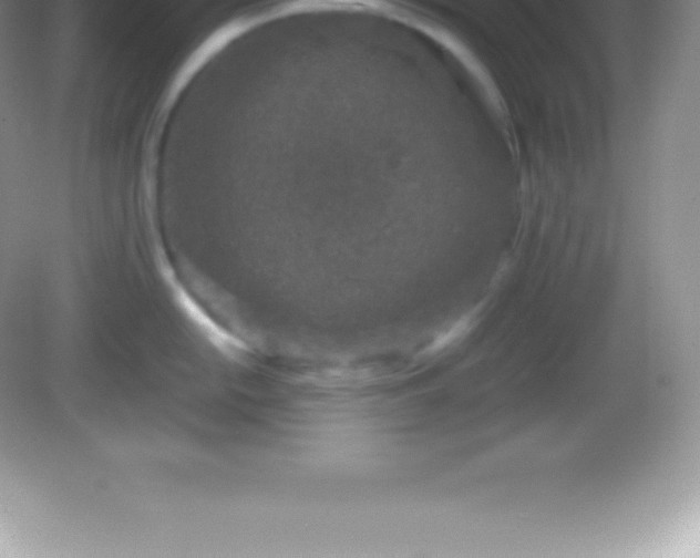 X0000082691054200702021322