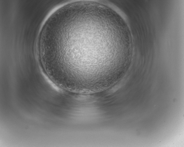 X0000082691056200702021322