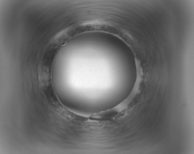 X0000082691062200702021321