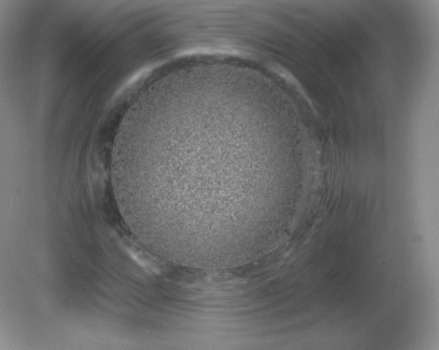 X0000082691064200702021321