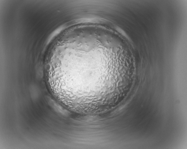 X0000082691067200702021321